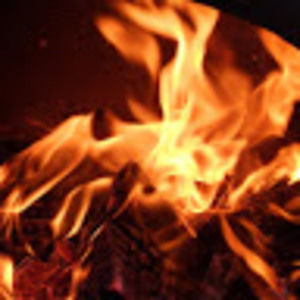 Meet your Posher, Dan